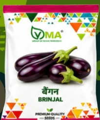 VMA brinjal long seed pack