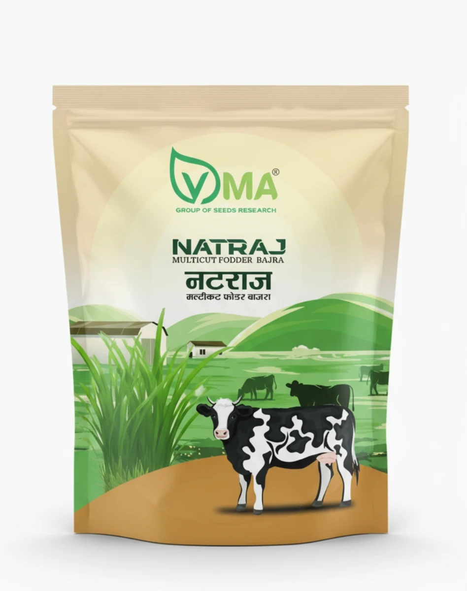 VMA Natraj multicut fodder bajra seed pack