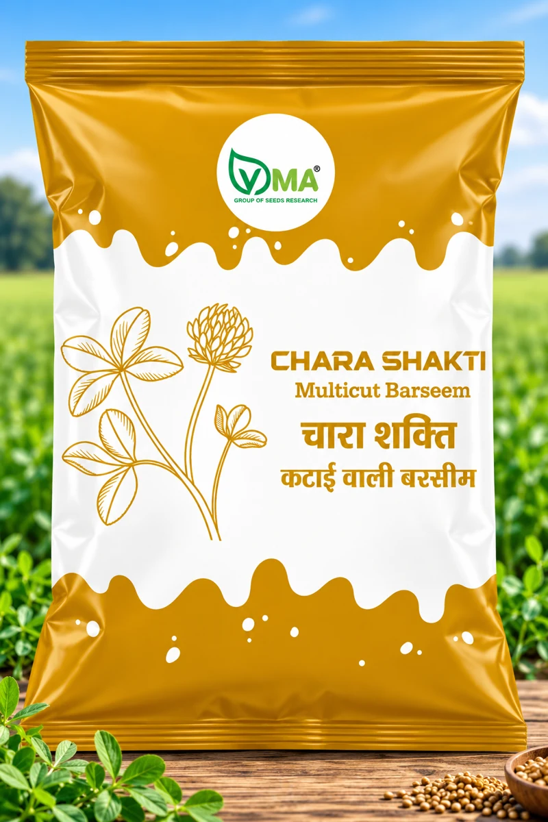 VMA Chara Shakti multicut Berseem seed pack