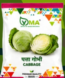 VMA cabbage seed pack