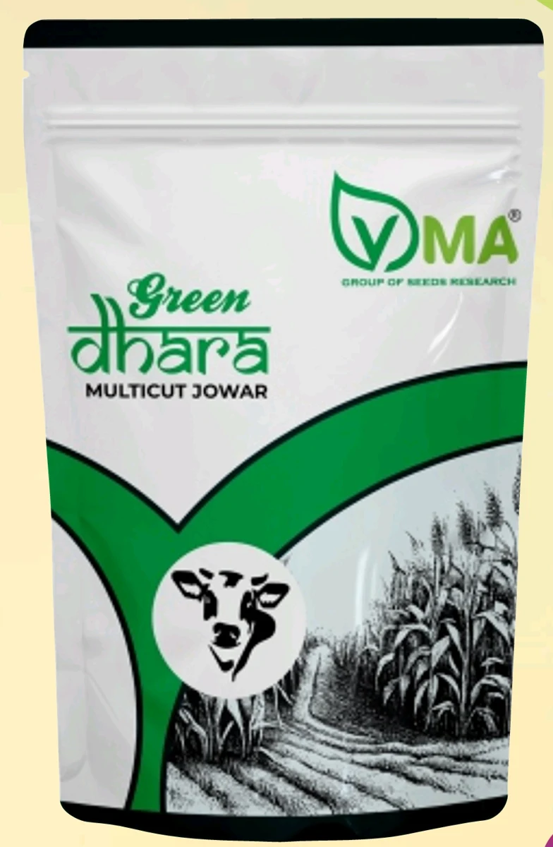 VMA Green Dhara multicut jowar seed pack